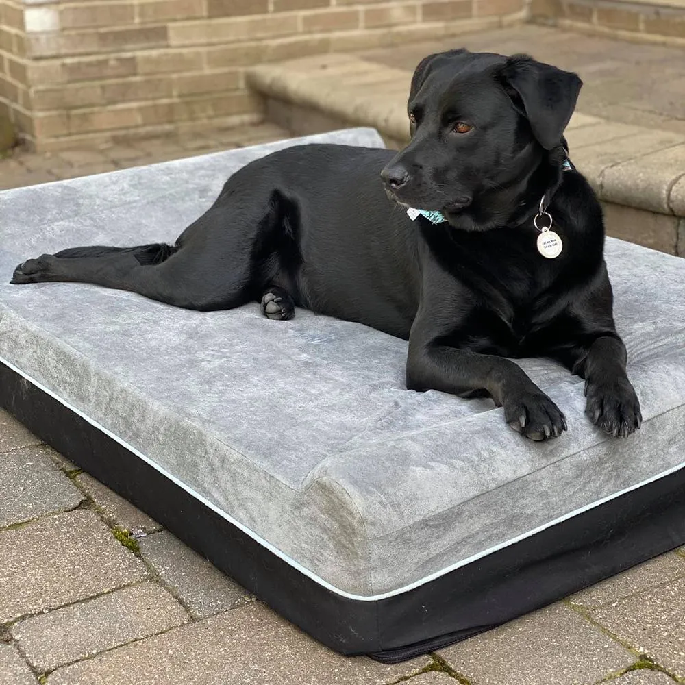 Extra-Large Double Pillow Orthopedic Dog Bed