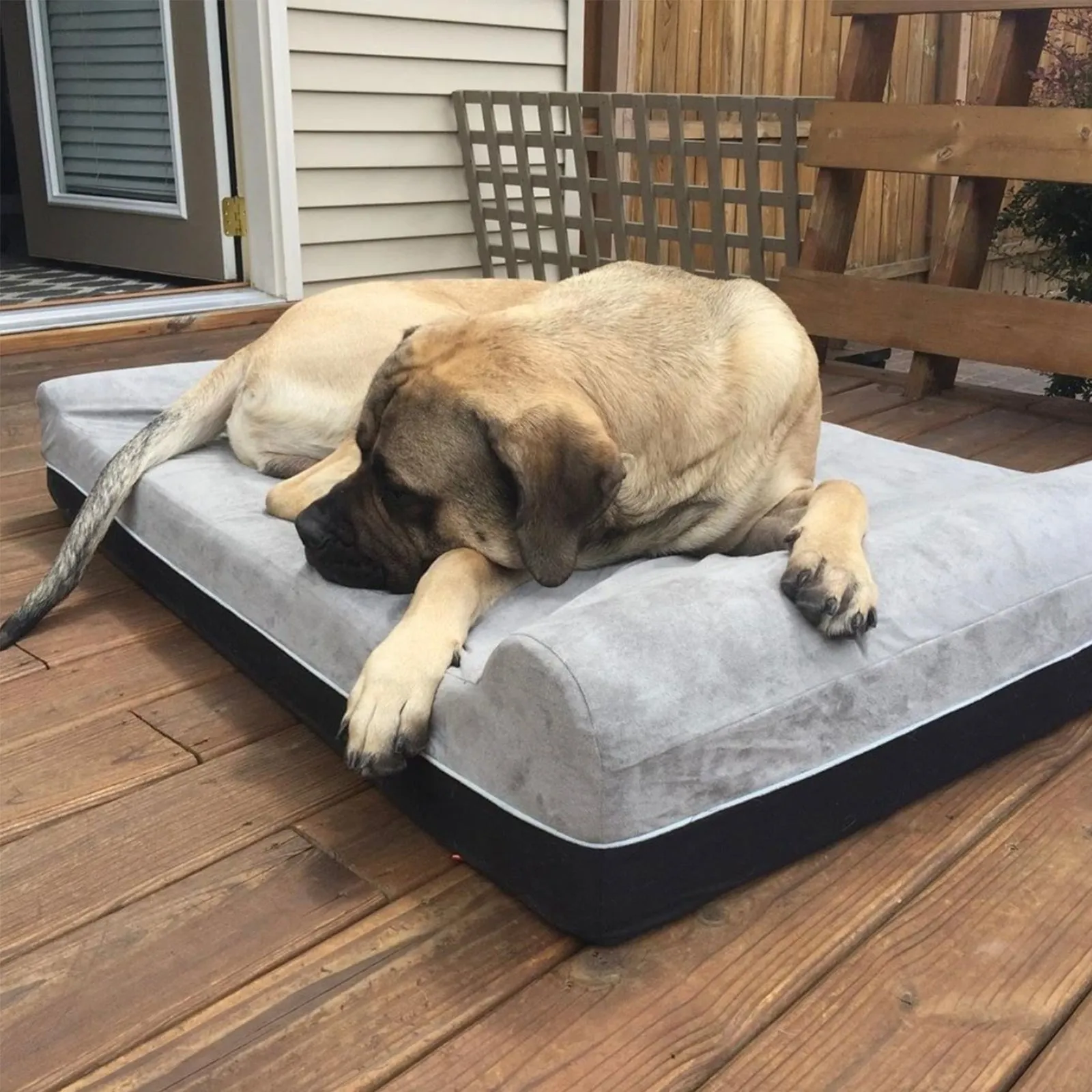 Extra-Large Double Pillow Orthopedic Dog Bed