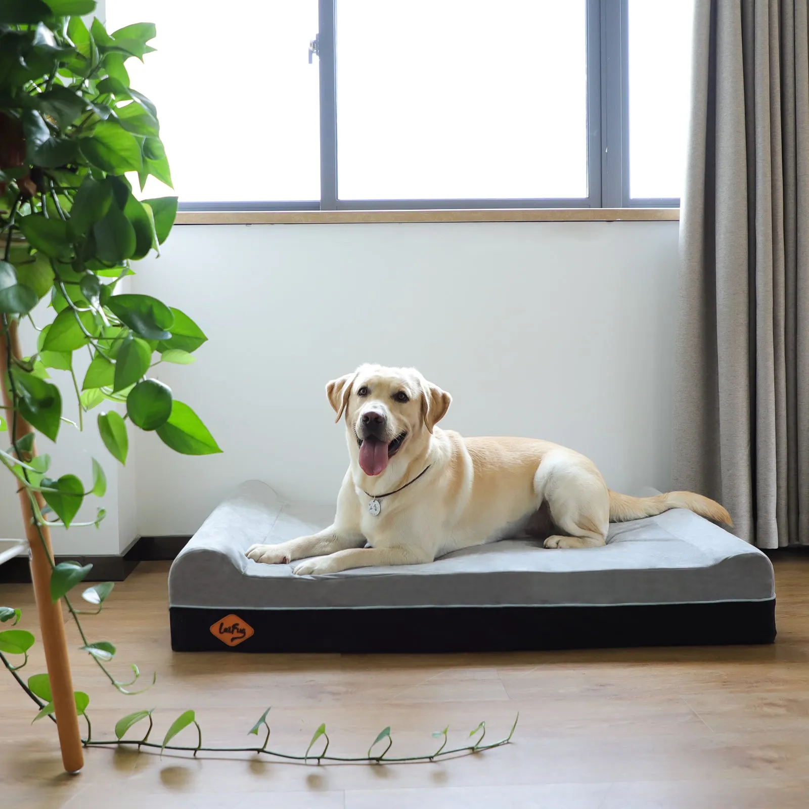 Extra-Large Double Pillow Orthopedic Dog Bed