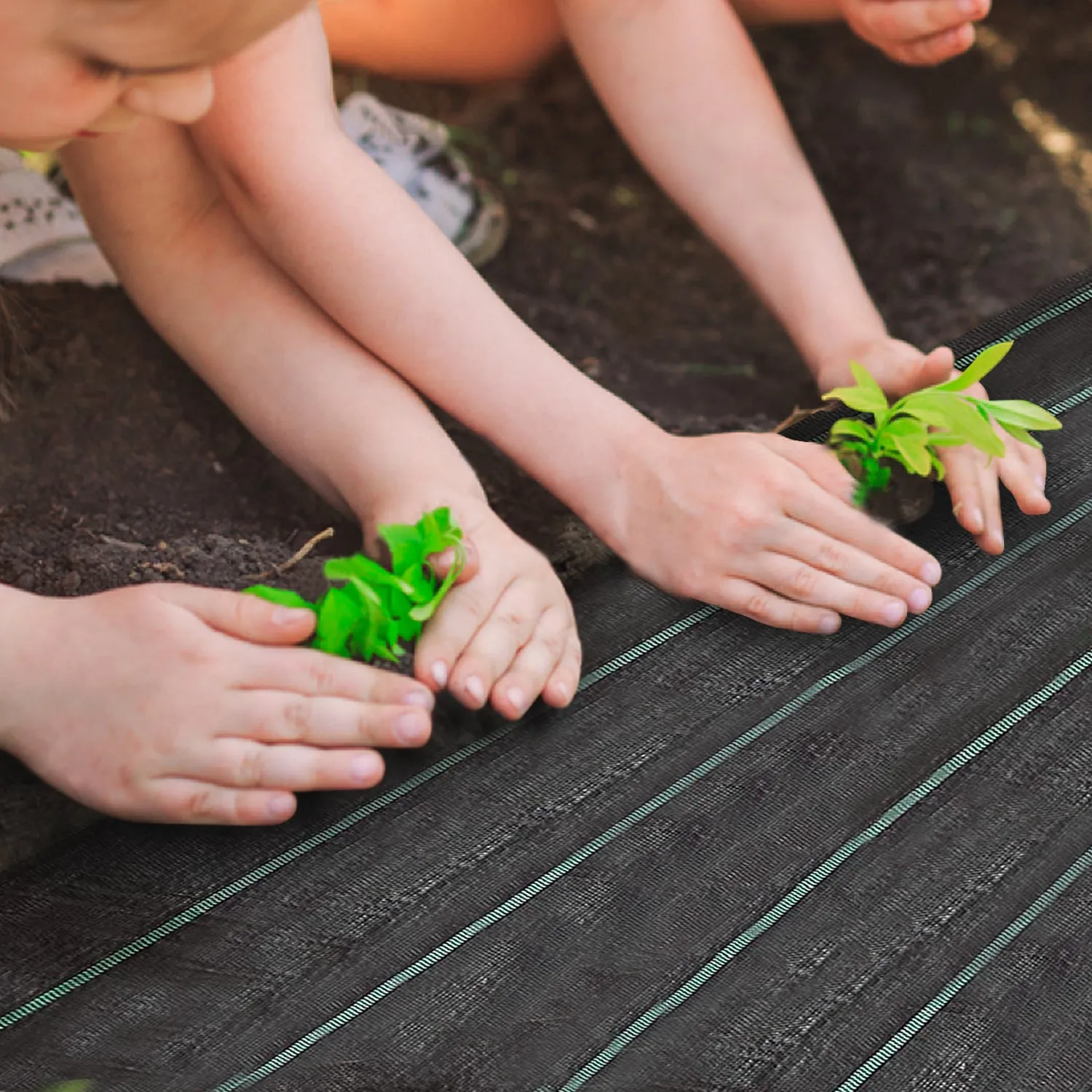 Heavy Duty Weed Control Membrane - Light Weight Fabric, Water Resistant and UV Protection