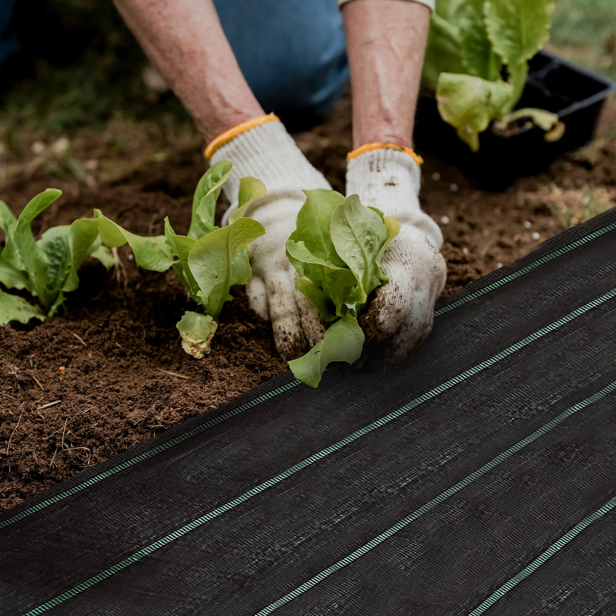 Heavy Duty Weed Control Membrane - Light Weight Fabric, Water Resistant and UV Protection